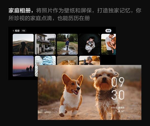 第8页-8.JPG